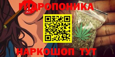 альфа пвп Лесосибирск